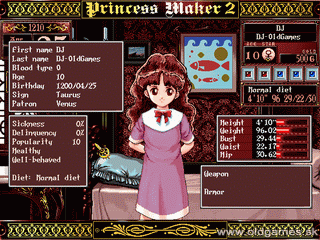 Play Princess Maker 4 - Special Edition (Japan) • Nintendo 